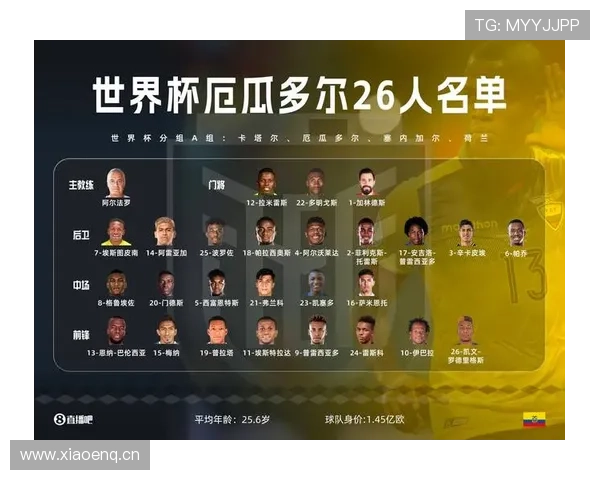 世界杯全数据实时统计与历史赛果深度分析平台