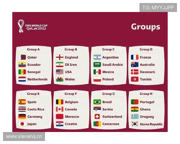 世界杯最新赛事数据全面解析及球员表现趋势报告 - 副本 (2)